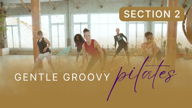 Gentle Groovy Pilates Section 2