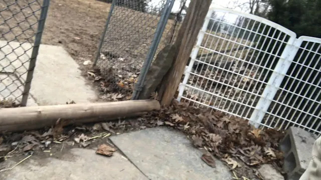 Outside Retrieve Lesson #2, Part 1