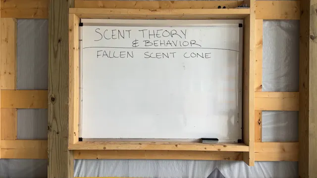 Scent Theory &Behavior: Fallen Scent Cones