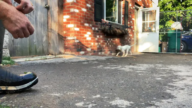 Jiibay Retrieve #18