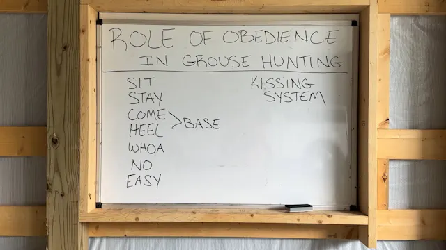 The Role Of Obedience In Grouse Hunting