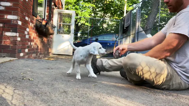 Jiibay Retrieve #6