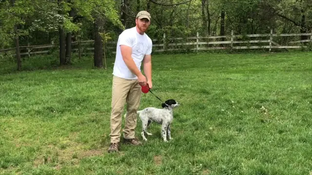 Puppy Obedience Intro—The Warren Way