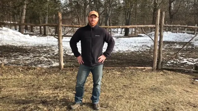 The Heel Command: A Comprehensive Look At Your Heel Toolbox