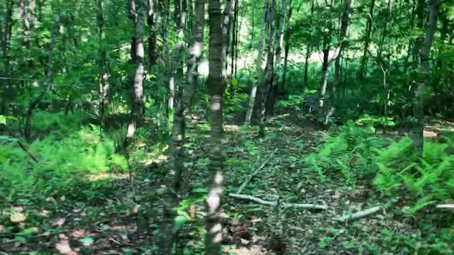 Name' Farm Run #6.  6/15/19