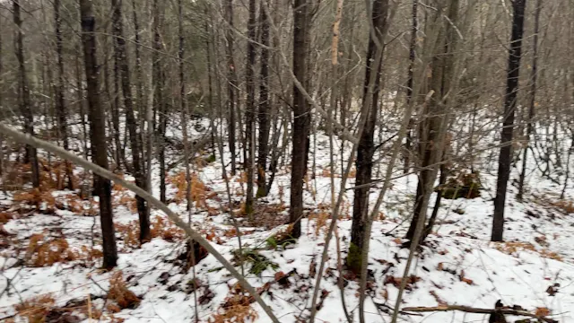 Namé bird recovery after 256 yard track to final point