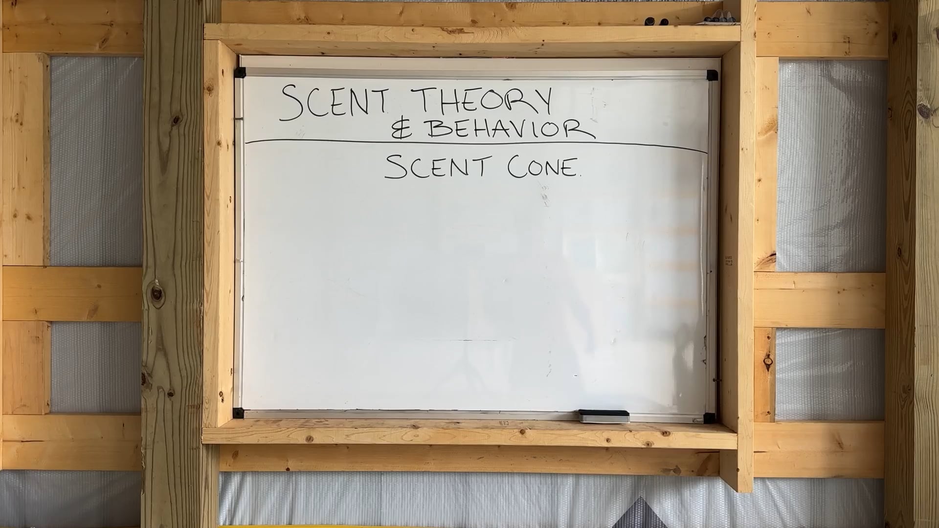 Scent Theory & Behavior: Scent Cones