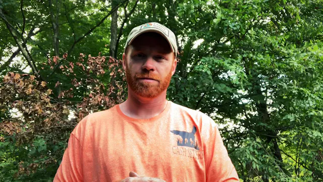 Name’ Bird Work *3rd shot bird training*. 8/31/19