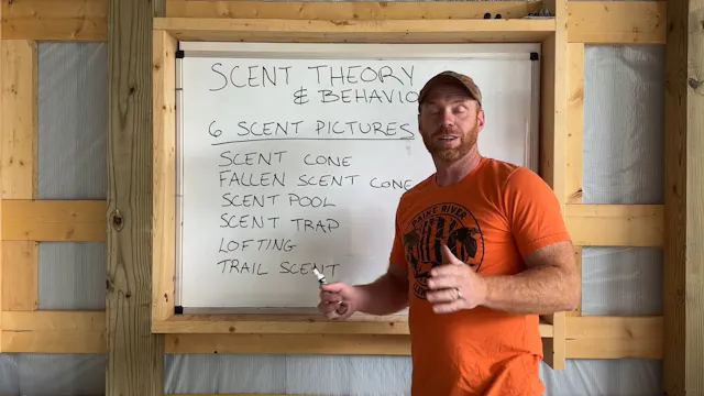 Scent Theory & Behavior: The 6 Scent Pictures