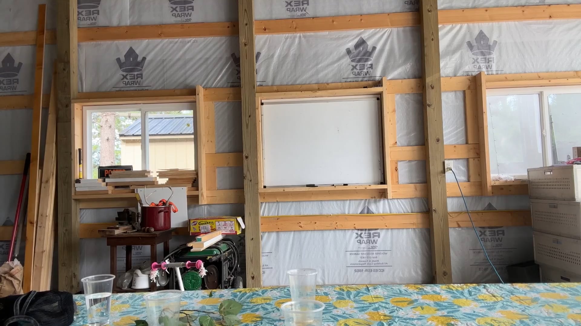 Relationship Fundamentals With Your Dog: Understanding Your Quest