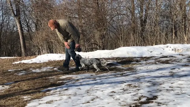 2019 PRL Pups Obedience Lesson #1