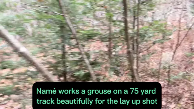 Namé on late season grouse