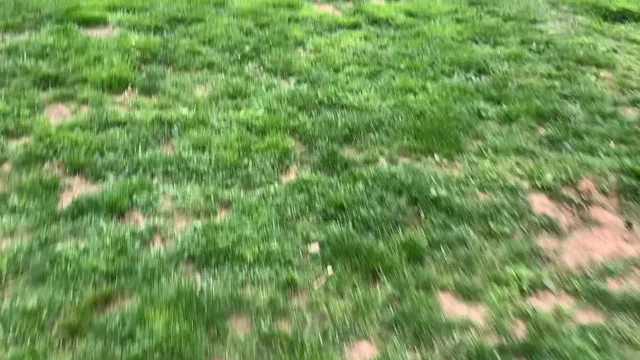 Ina’amii Obedience #12, Bird Work & Retrieve. 5/18/20