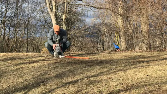 2019 PRL Pups Obedience Lesson #5