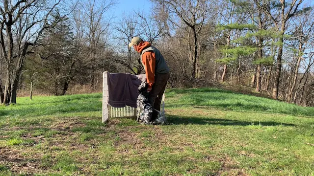 Name’ & Waawaate Blind Retrieve Work 4/19/20