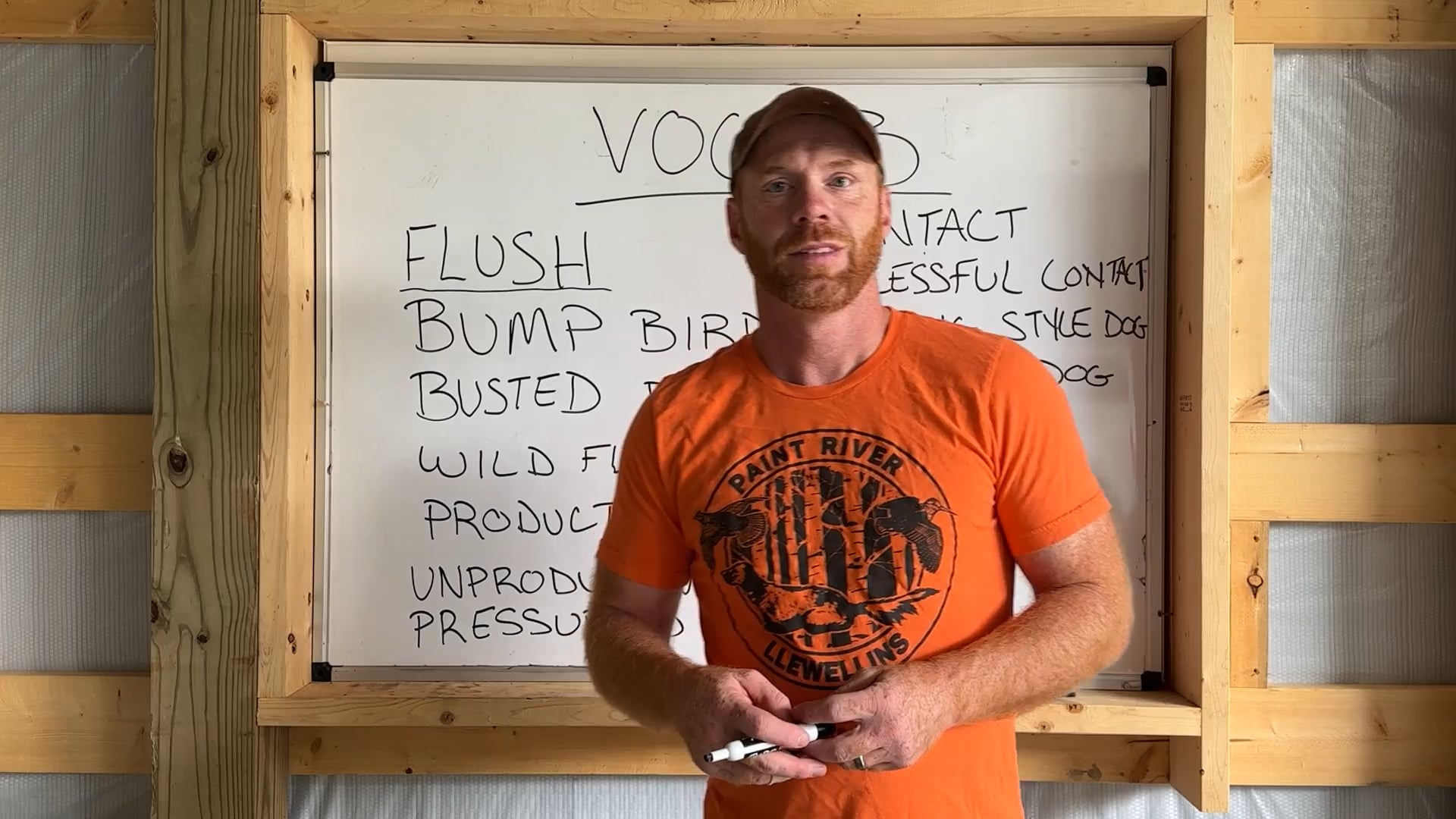 Bird Dog Vocabulary— Lets Speak A Single Language