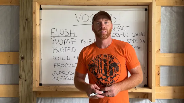 Bird Dog Vocabulary— Lets Speak A Single Language