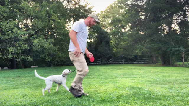 Jiibay Obedience #1.  8/2/19