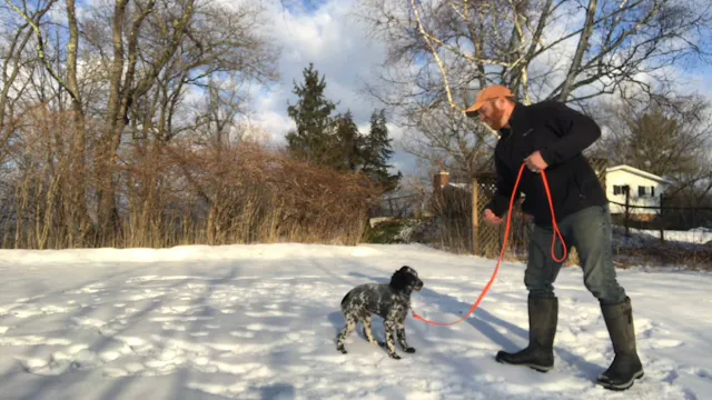 2019 PRL Pups Obedience Lesson #2