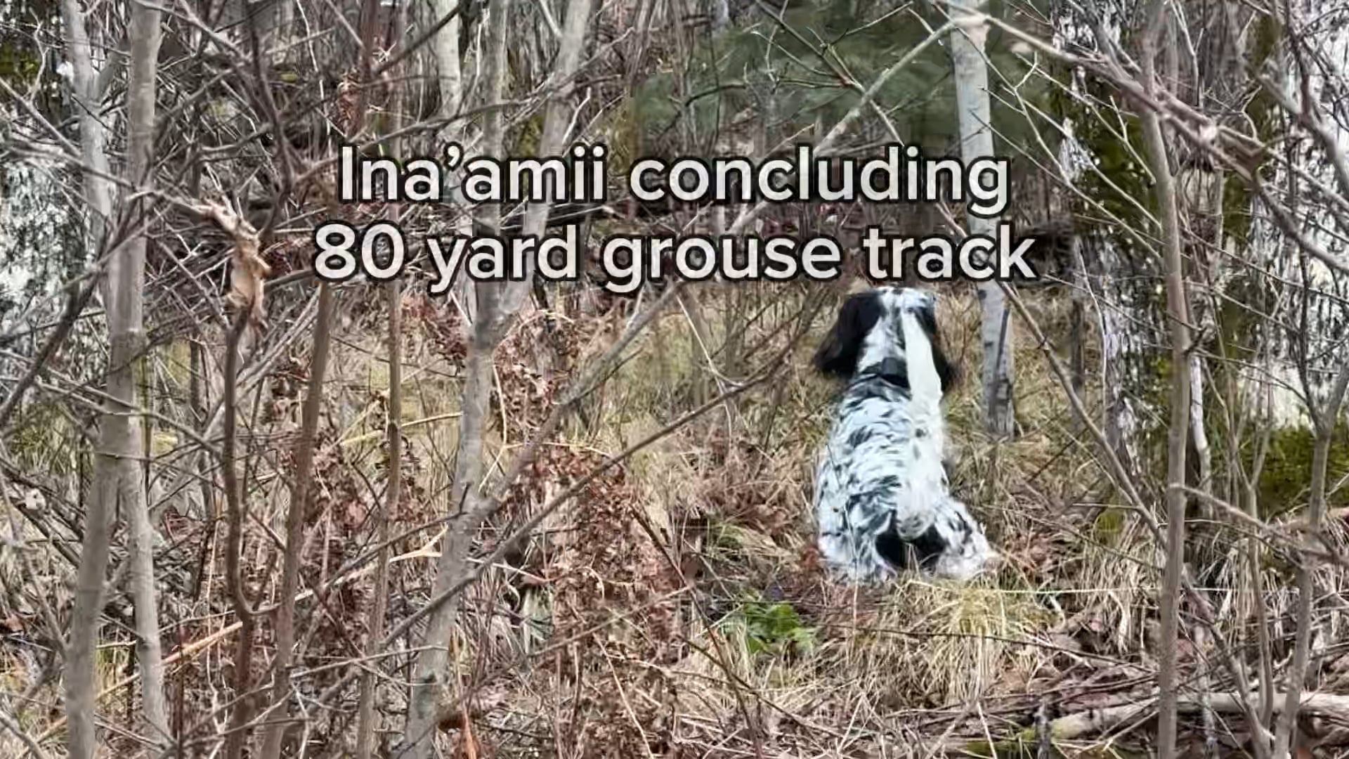 Ina’amii: set, track, point, retrieve