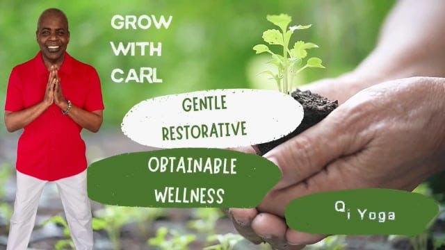 GWC S3 E 36 Qi Yoga