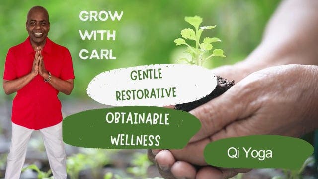 GWC S3 E 93 Qi Yoga