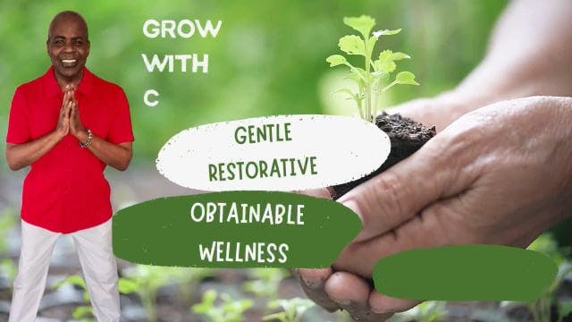 GWC S3 E 51 Qi Yoga