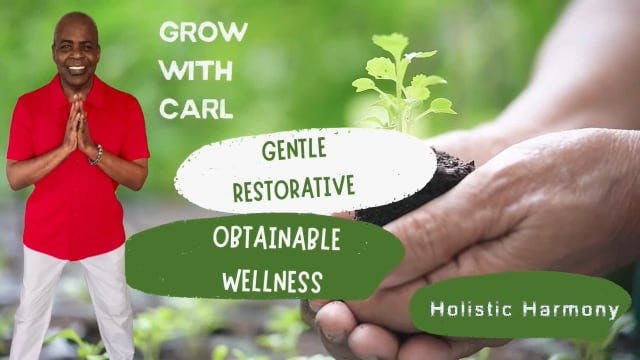GWC S3 E 27 Holistic Harmony
