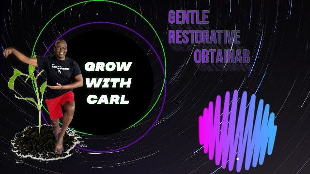 Qigong Flow  7-17-23