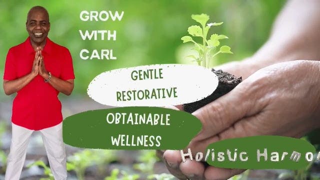 GWC Season 3 E5 Holistic Harmony