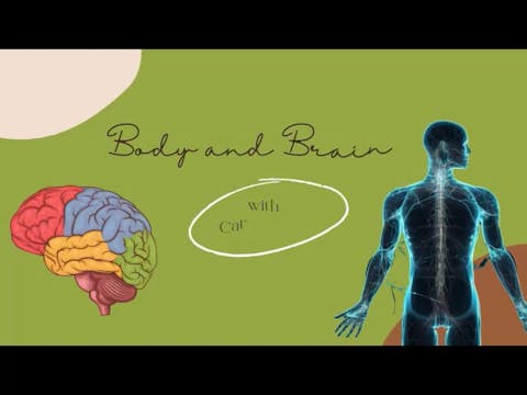 Body and Brain #4