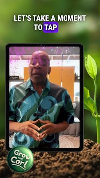 Aging with Grace: A Mindful Reflection