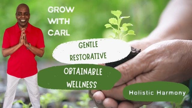 GWC S3 E 25 Holistic Harmony