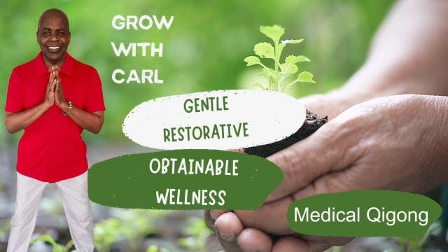 GWC S3 E 98 Medical Qigong