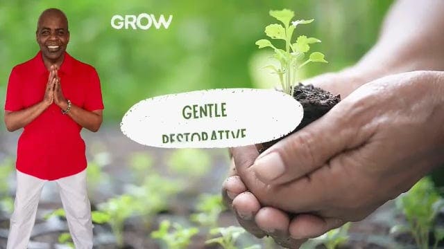 GWC Season 3 E 11 Holistic Harmony