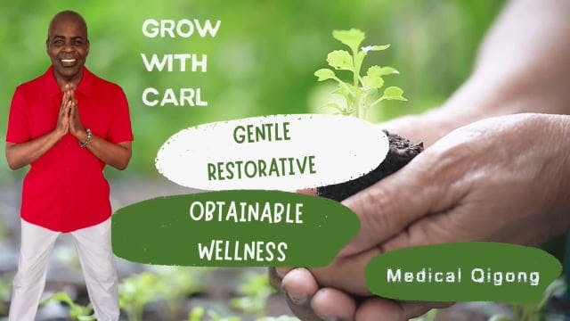 GWC S3 E  35 Medical Qigong