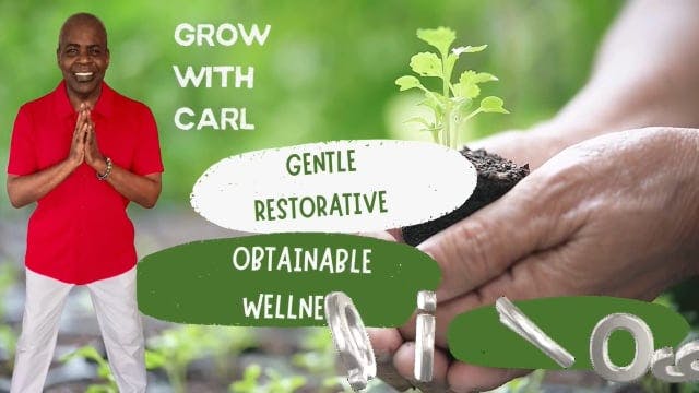 GWC Season 3 E8 Qi Yoga