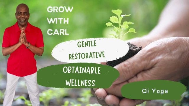 GWC S3 E 16 Qi Yoga