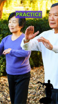 Qi Gong for Seniors: Enhance Physical...