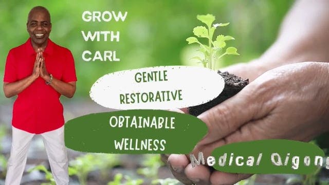 GWC Season 3 E7 Medical Qigong