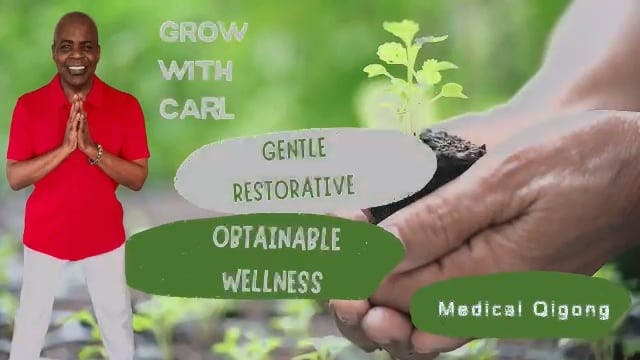 GWC S3 E 43 Medical Qigong