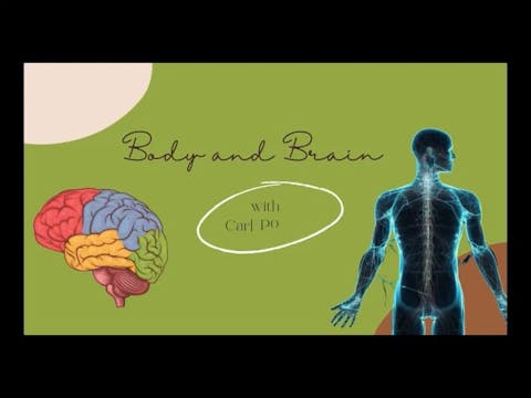 Body and Brain #3