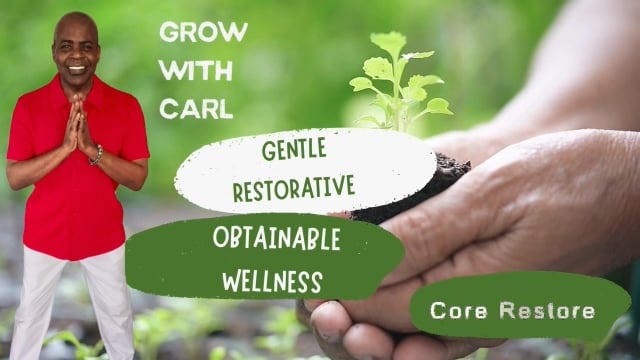 GWC Season 3 E3 Core Restore