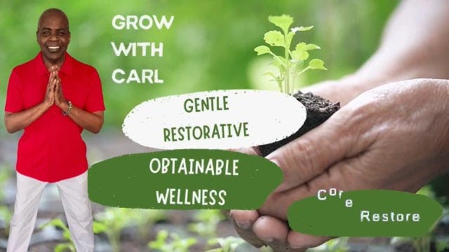 GWC S3 E 17 Core Restore