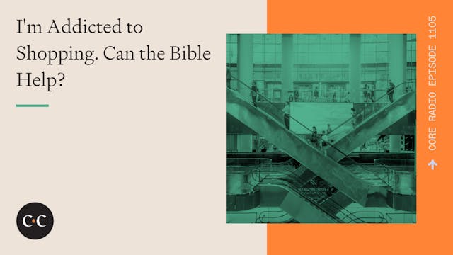 I'm Addicted to Shopping. Can the Bib...