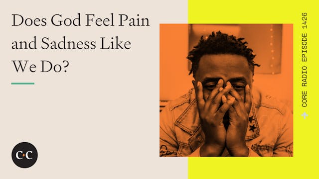 Does God Feel Pain and Sadness Like W...