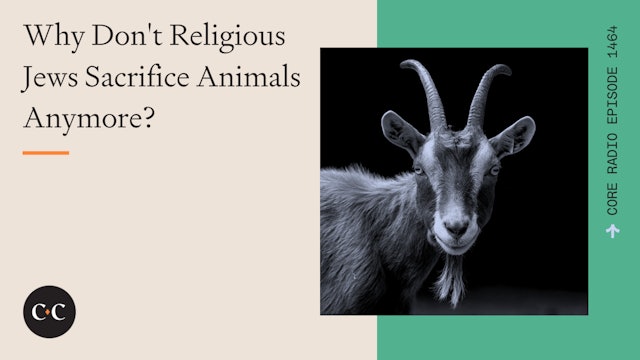 Why Don't Religious Jews Sacrifice Animals Anymore? - Core Live - 4/16/24