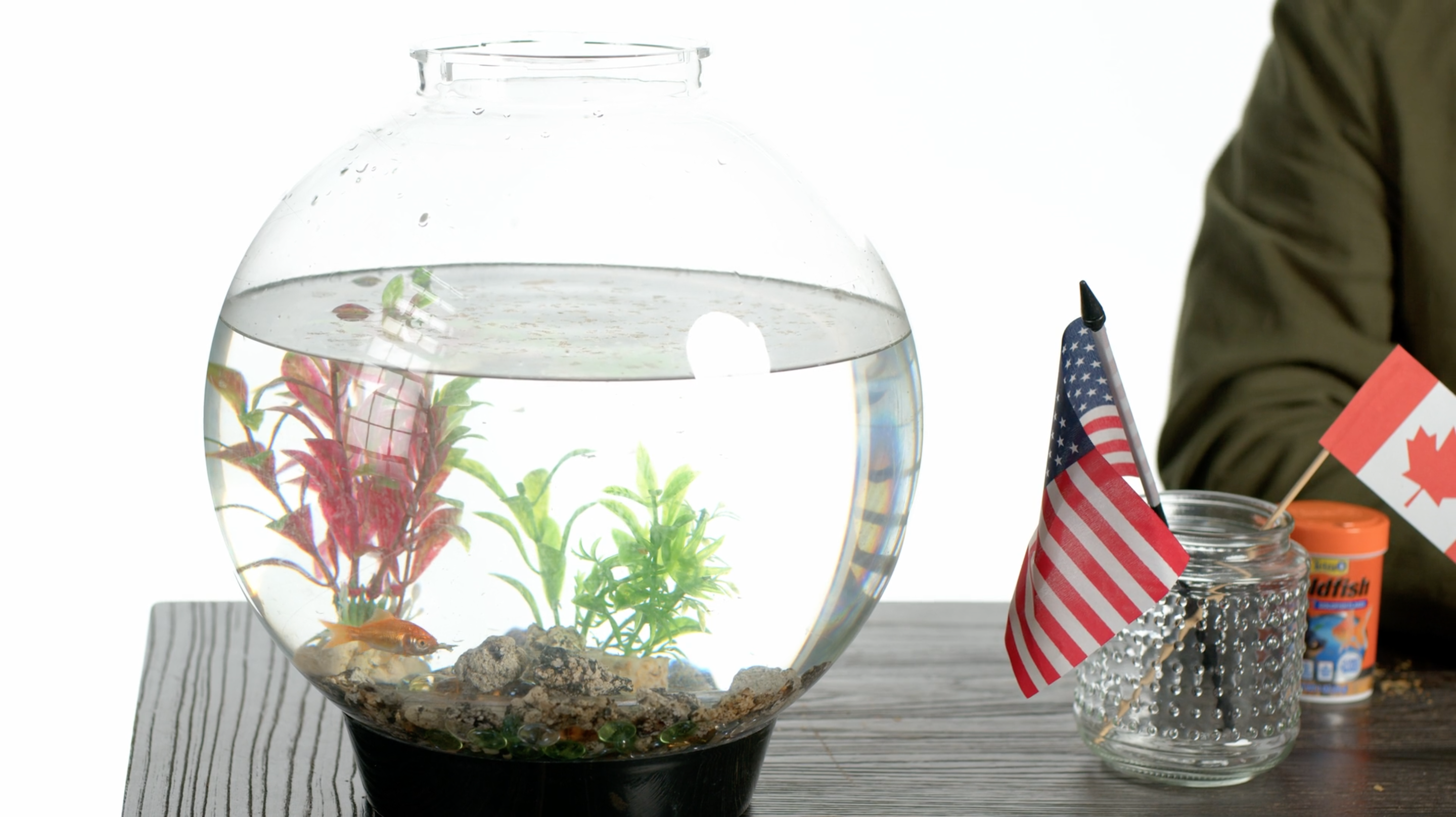 God Created Man in His Image - S2:E2 - Adventure Club Teaching Tips