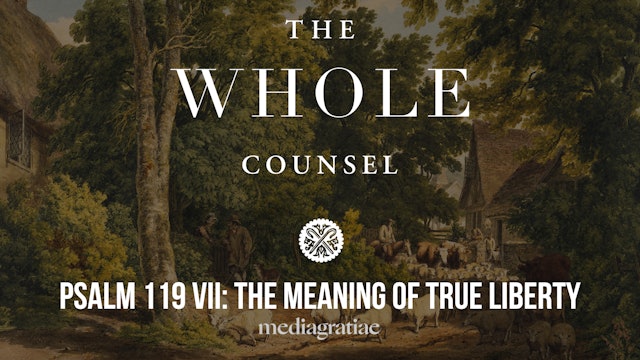 Psalm 119 VII: The Meaning of True Liberty - The Whole Counsel