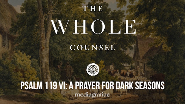 Psalm 119 VI: A Prayer for Dark Seasons - The Whole Counsel